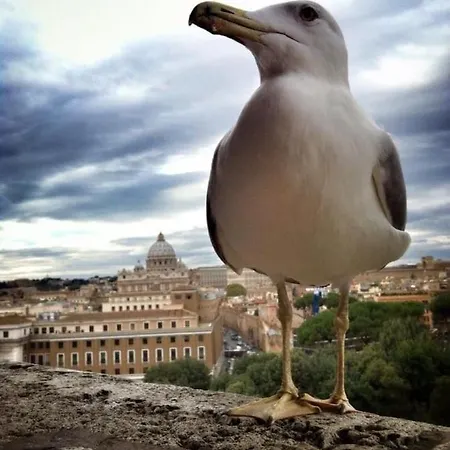 Falegnami
